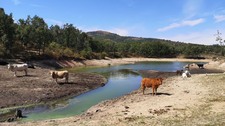 Cambio climático y sequía