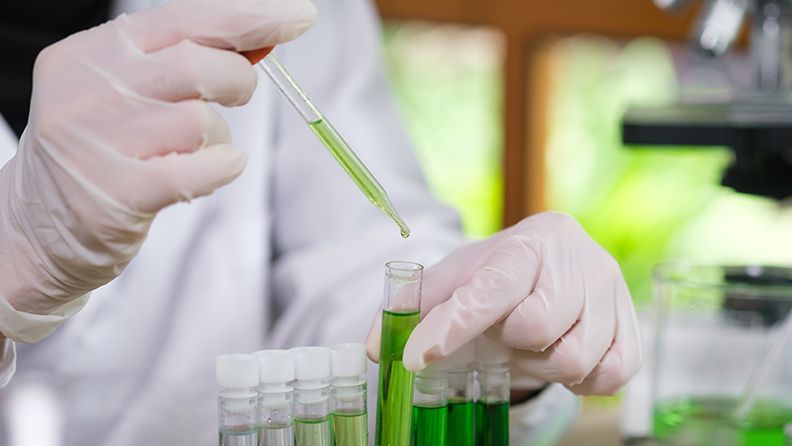 Científica en un laboratorio y con probetas investigando con plantas para un desarrollo sostenible
