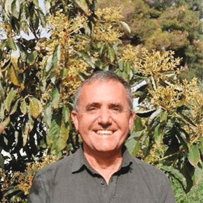 Iñaki Hormaza Urroz