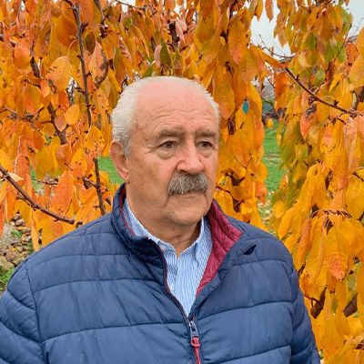 Marco Antonio Manzano Muñoz