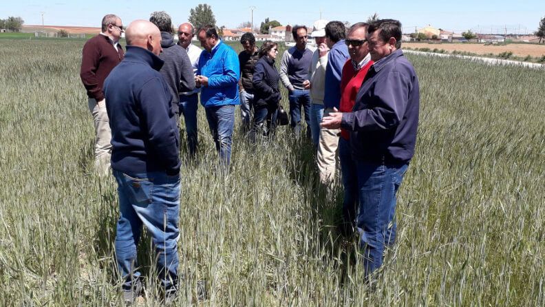 Visita a campo.