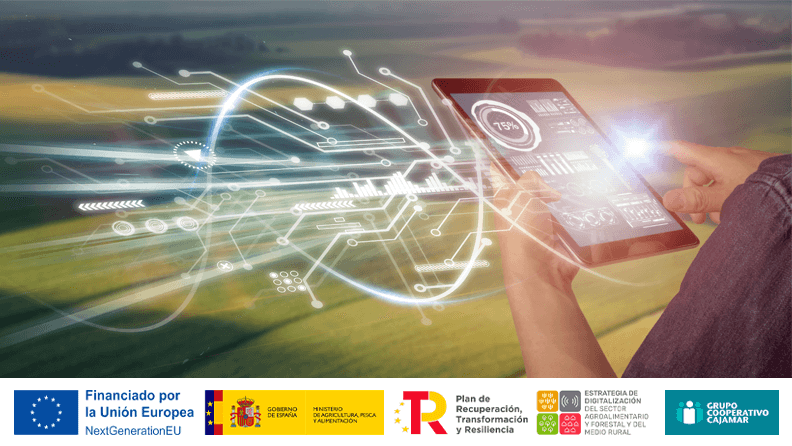 Conclusiones del Observatorio de Digitalización