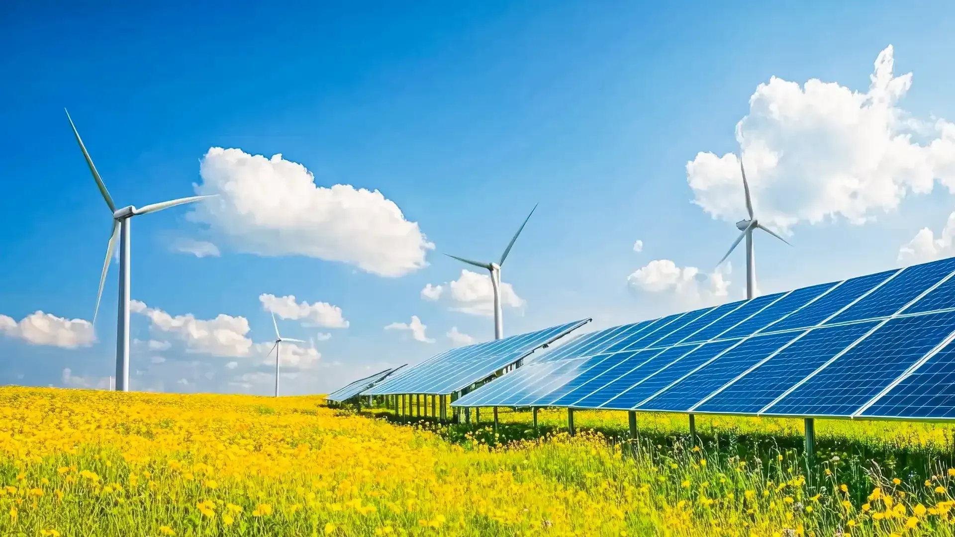 Paneles Fotovoltaicos