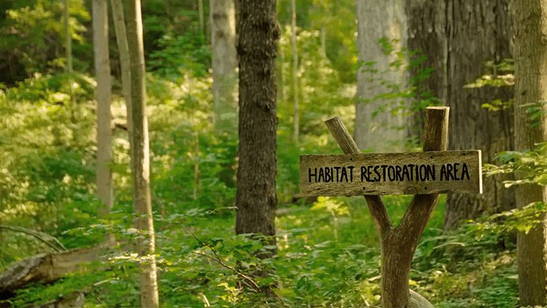 Ley Restauración Naturaleza