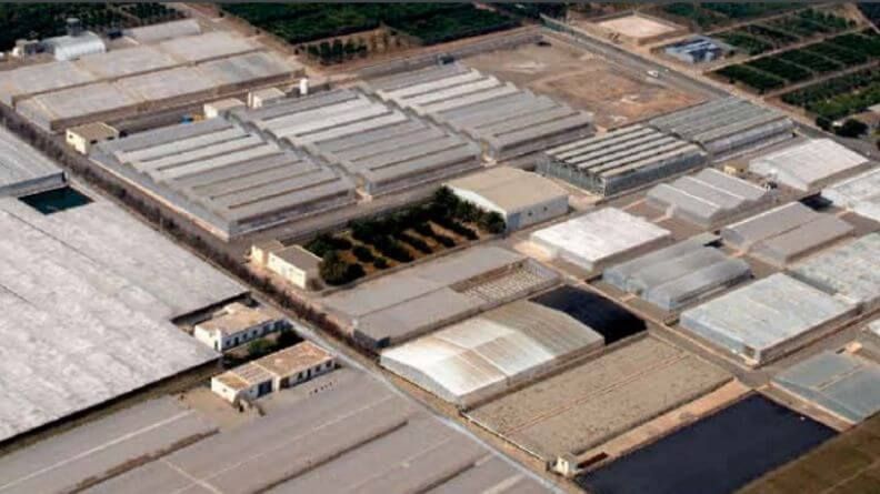 explotación hortícola protegida