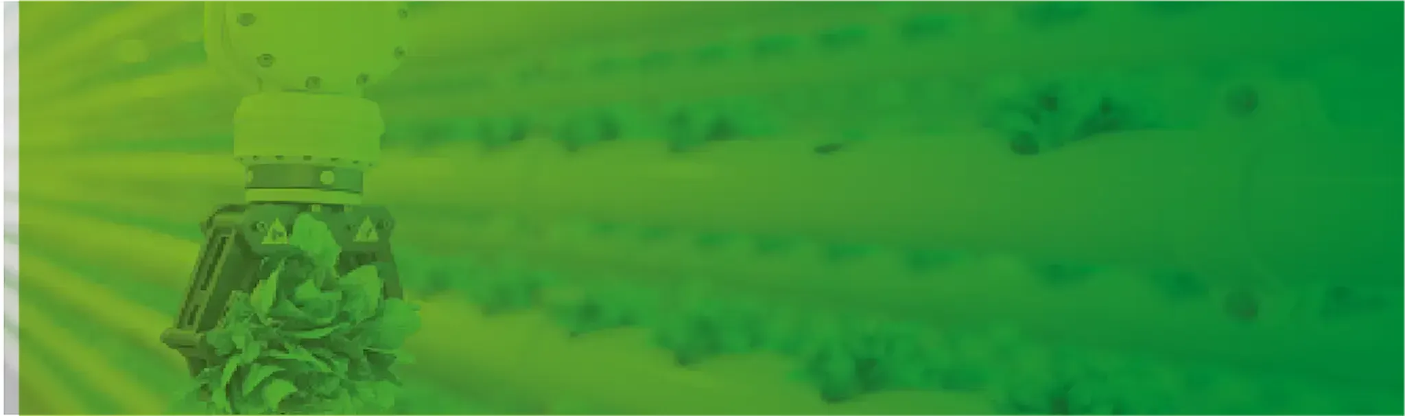 Imagen decorativa representando un sensor en un cultivo con tinte verde