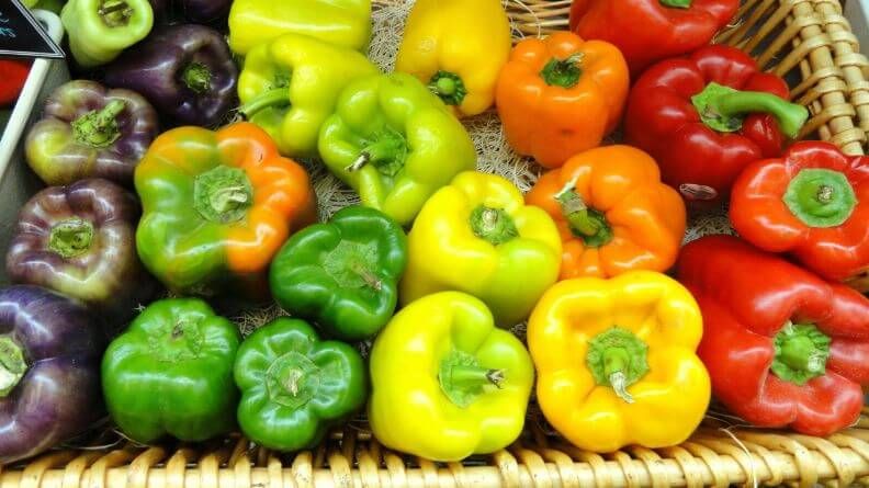 Pimientos y hortalizas de diversos colores producidos en Almería