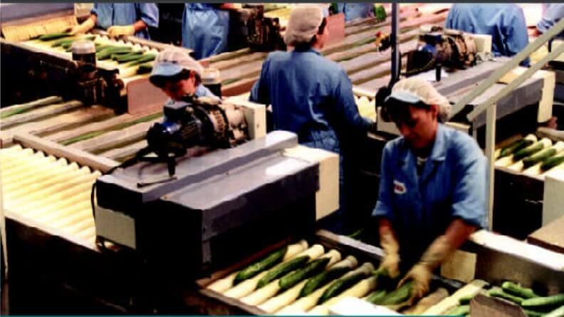 Análisis de la campaña hortofrutícola de Almería
