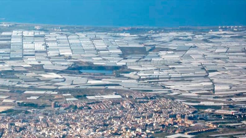 Foto de cultivo de hortalizas bajo invernaderos de Almería