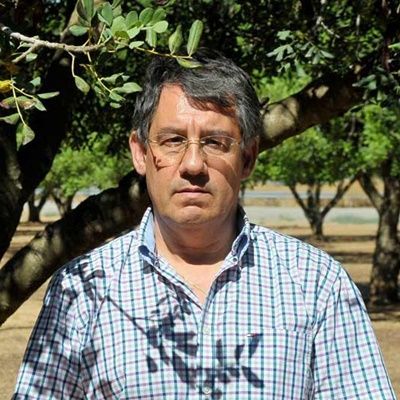 Joan Tous