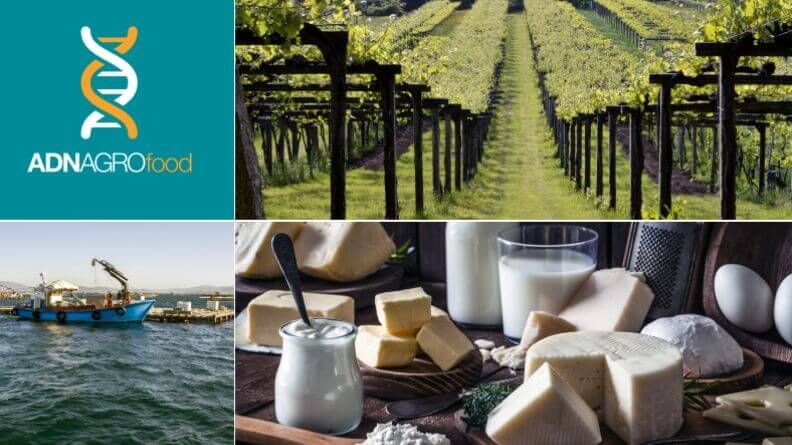 Análisis sintético del sector agroalimentario de Galicia 2018
