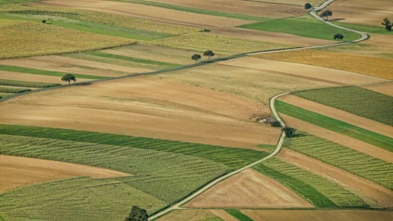 sector agroalimentario de la Región de Murcia, campo a vista de pájaro con diferentes parcelas de cultivos