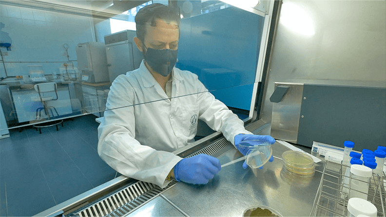 Los modelos han permitido demostrar la actividad probiótica del suero fermentado en alimentación animal