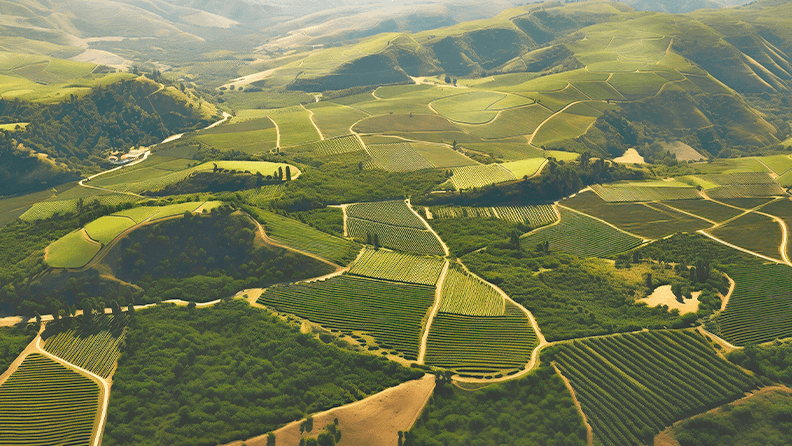 Paisaje rural