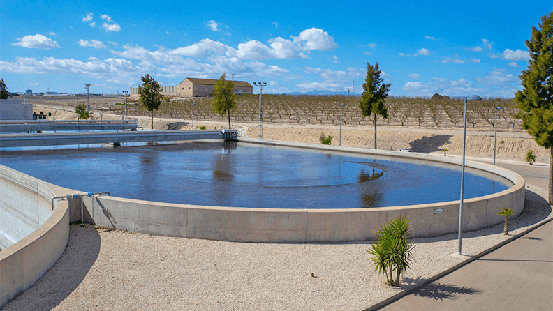Depósito de aguas residuales para su depuración junto a una finca de melocotoneros regados con dichas aguas depuradas. Efeagro/Marcial Guillén