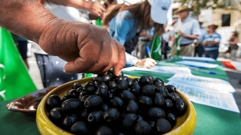 Aceituna de mesa