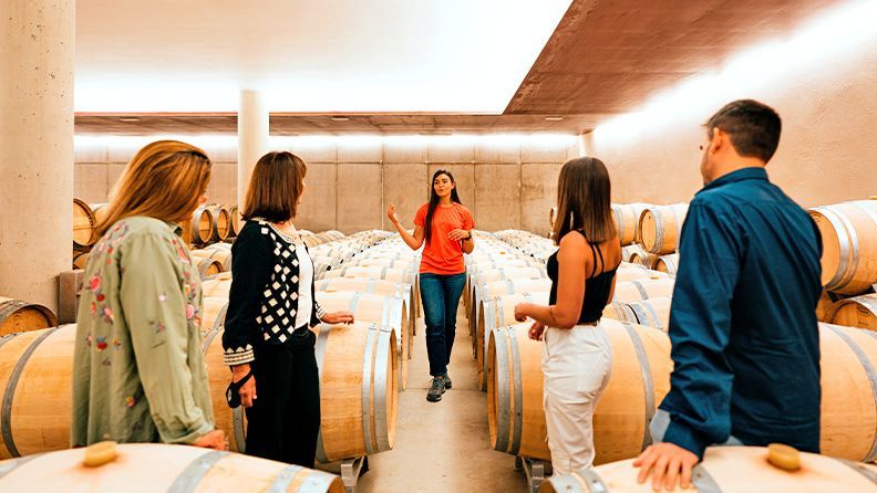 Visita a una bodega