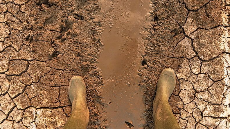 Campo seco afectado, visiblemente afectado por el cambio climático