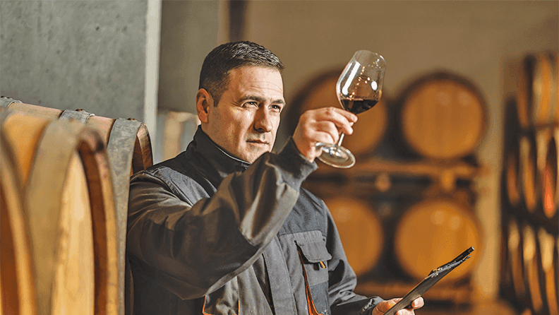 Catador de vinos.