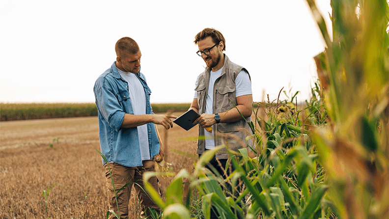Colaboración entre agricultores