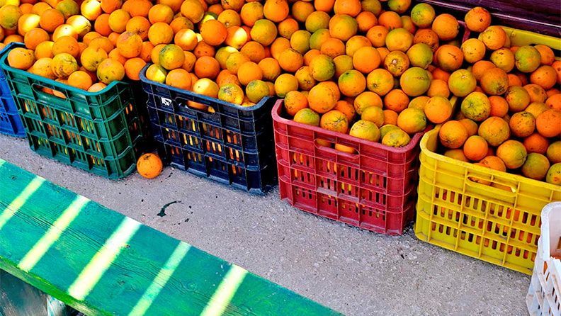 Control oficial agroalimentario en aduana