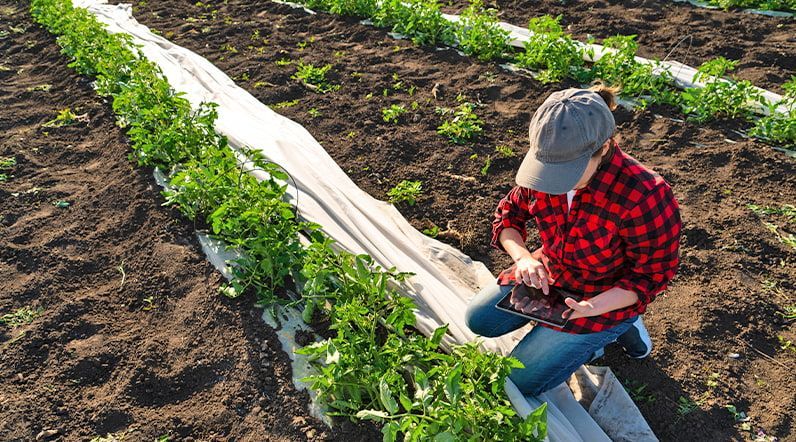 Agricultora toma anotaciones en cuaderno digital