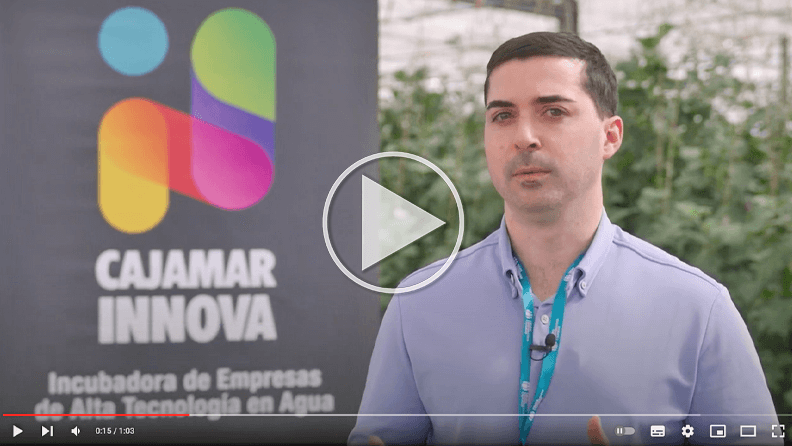 David Salces, cofundador de Fibsen