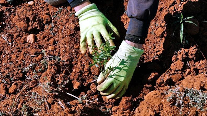 Un agricultor trabaja la tierra.-EFE/Juanjo Guillén