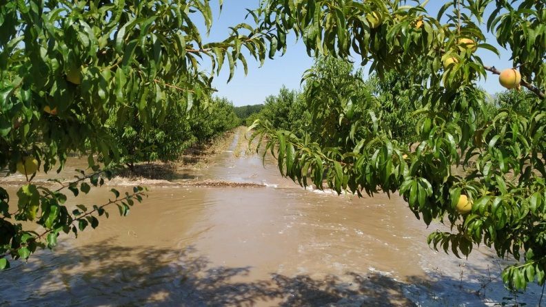 Finca anegada por el agua.