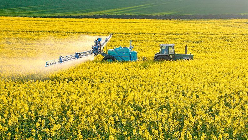  Tratamiento fitosanitario contra el picudo de la colza. Pulverización de insecticidas en colza en flor