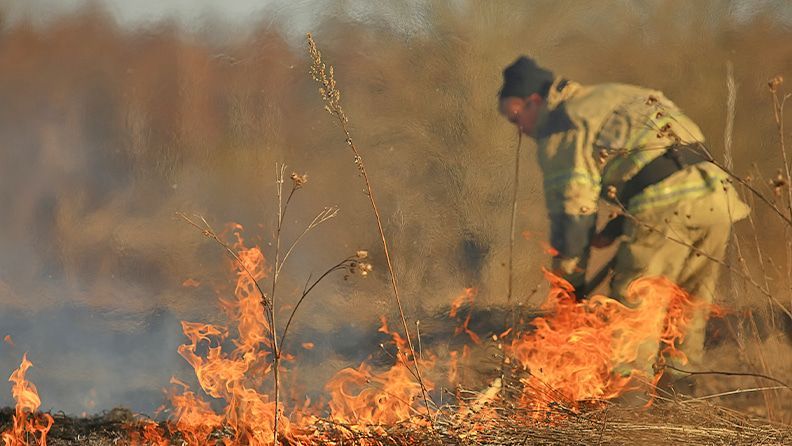 Incendio forestal