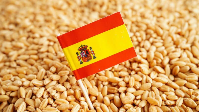El valor de los intercambios comerciales se acelera en el primer trimestre de 2025 en medio de la incertidumbre geopolítica