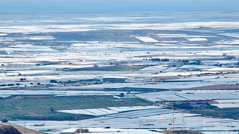 Panorámica de invernaderos en El Ejido