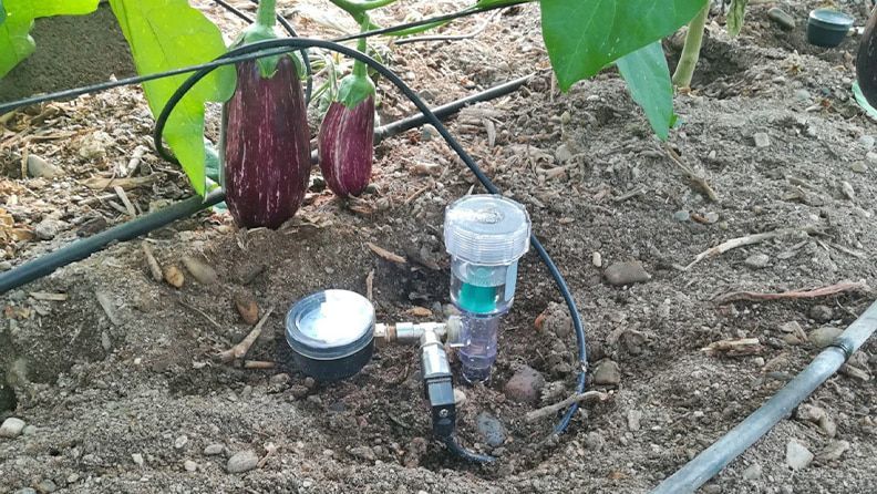 Sensor de riego