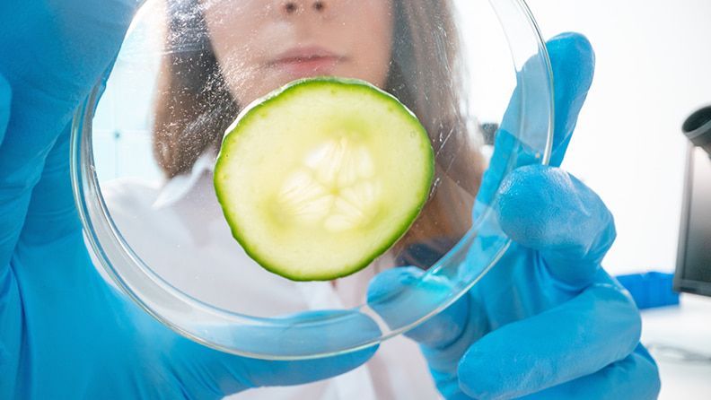 Investigación en laboratorio