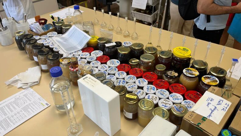 Cada año se pierde en España entre el 30 y el 40% de colmenas: la varroa -un género de ácaros- es una de las causas más importantes del declive de las abejas. EFE/Lucía Pereda