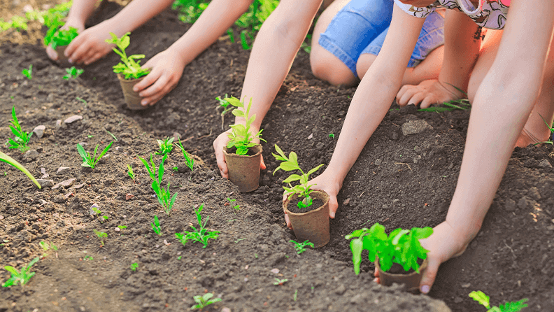 Niños crean un jardín