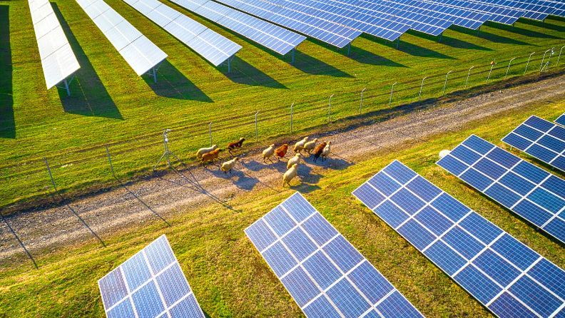 Energía solar y naturaleza