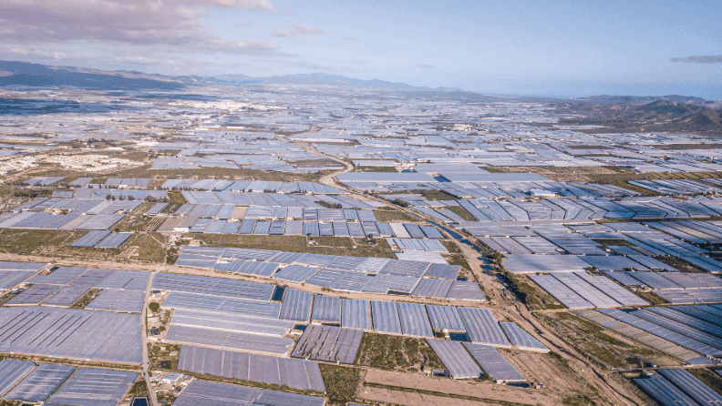 Panorámica de los invernaderos del Poniente de la provincia de Almería.