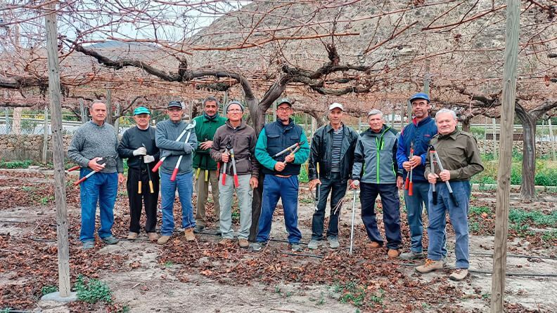 Parraleros almerienses. Foto: GEM.