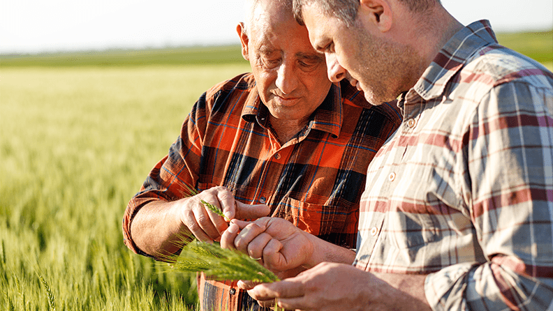 Padre e hijo agricultores