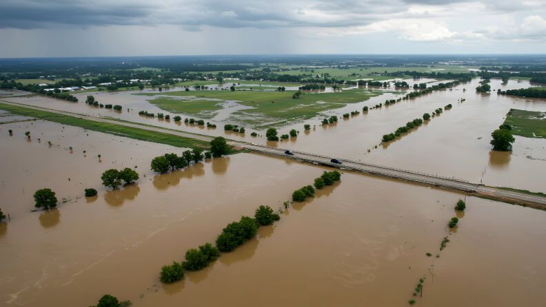 Daños en cultivos por encharcamiento e inundaciones.