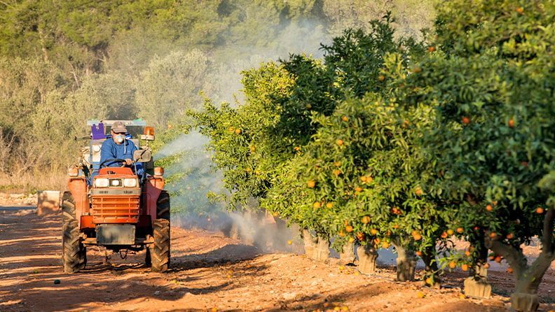 Un agricultor aplica fitosanitarios en un cultivo de cítricos