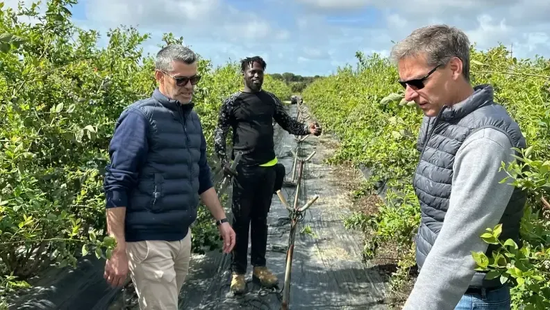 Los profesionales de Cajamar, entre ellos el director territorial en Huelva, Raúl Ortega, han contactado y visitado las fincas de empresarios y socios cooperativistas