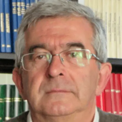 Enrique García-Escudero Domínguez