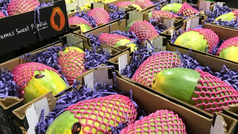 Papayas envasadas en cajas