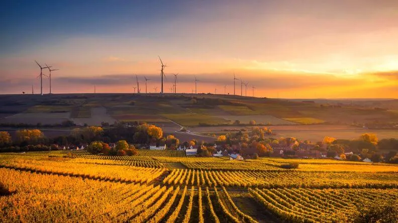 Guía completa para hacer agricultura ecológica