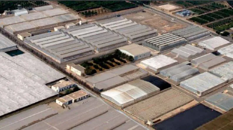explotación hortícola protegida