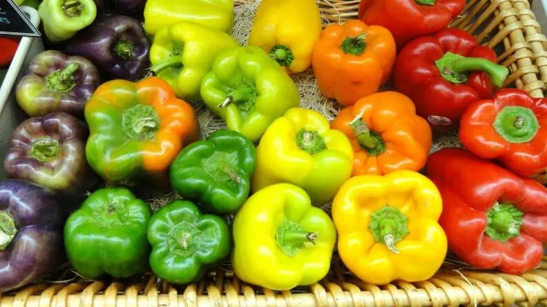 Pimientos y hortalizas de diversos colores producidos en Almería