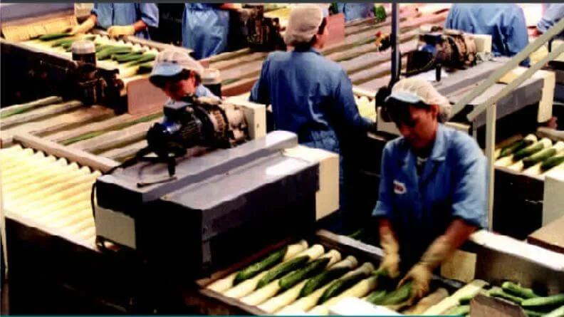Análisis de la campaña hortofrutícola de Almería